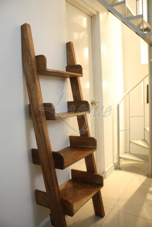 Bookshelves Ladder