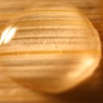 bamboo-droplet-5