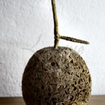 seagrass-fruit-accent-4