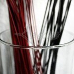 tall-clear-glass-vase-kinse-1