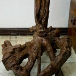 accent-eagle-driftwood-4