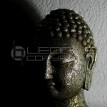 thai-buddhas-medium-dark