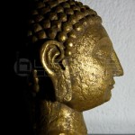 thai-buddhas-medium-dark-2