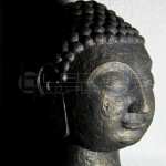 thai-buddhas-medium-dark-3