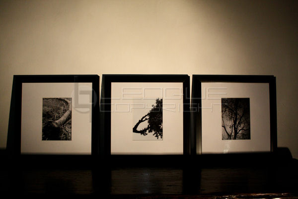 One set, 3-piece Art-Photo Frame