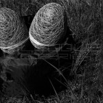 abaca-egg-beanbag-nest