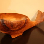 fish-bowl (3)