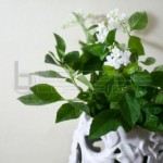 lilybeth-flower-vase (1)