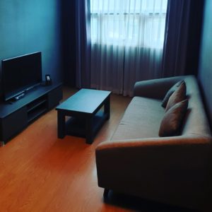 Condominium Sofa Furniture