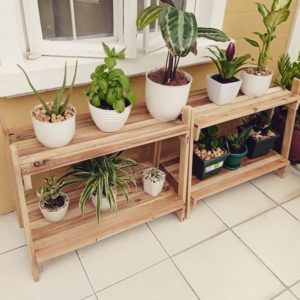 2-layer palochina wood plant stand